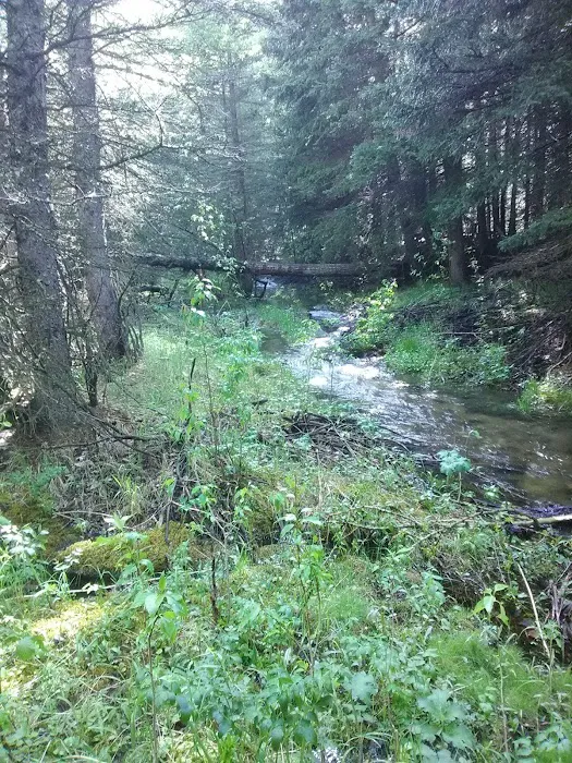 Rattin Campground 7