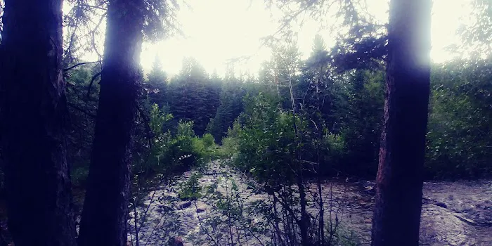 SHERIDAN 3