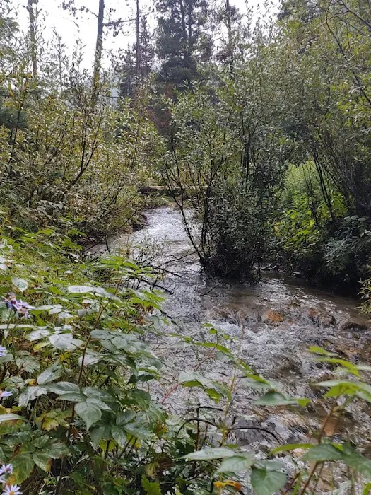 Basin Campground 4