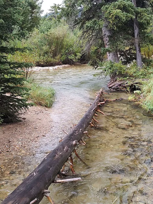 Basin Campground 8