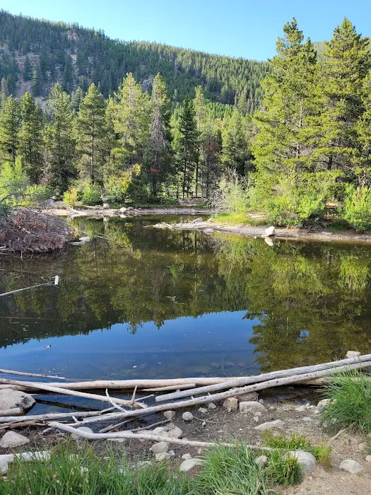 Wild Bill Lake 7