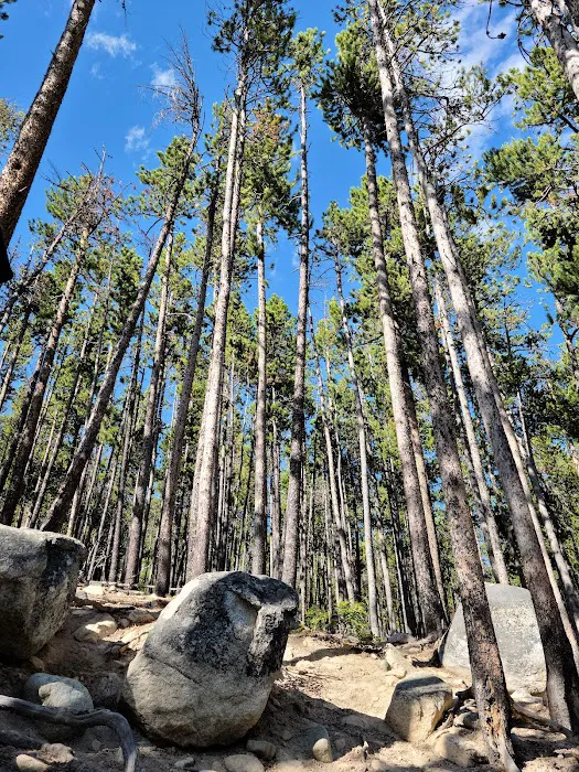 Wild Bill Lake 9