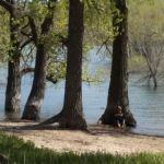 Scouts Rest Campground