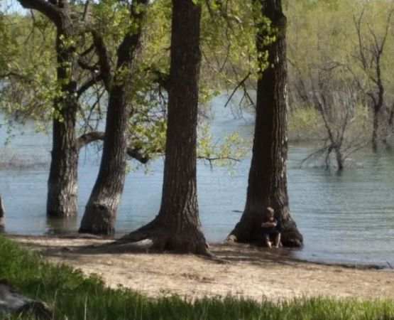 Scouts Rest Campground