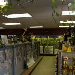 Townsend / Canyon Ferry Lake KOA Journey