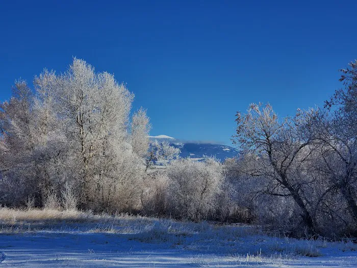 Duck Creek Campground 4