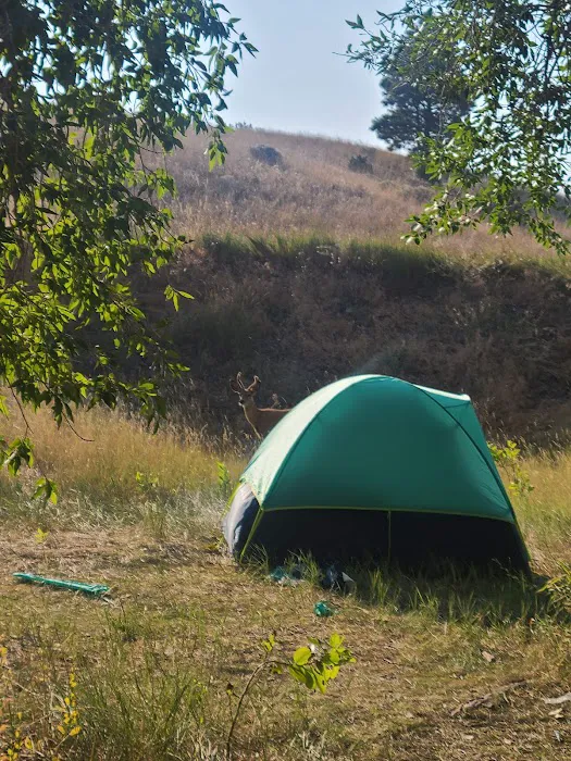 Hellgate Campground 4
