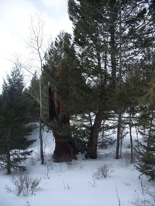 BIRCH CREEK CABIN (recgovnpsdata) 4