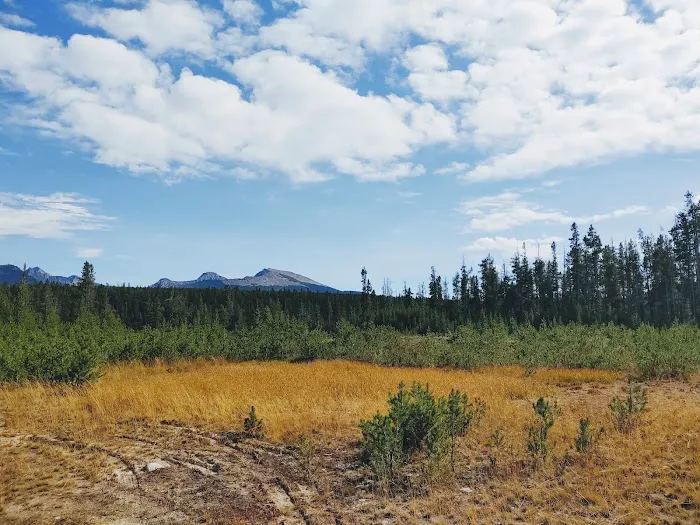 Price Creek Campground 5