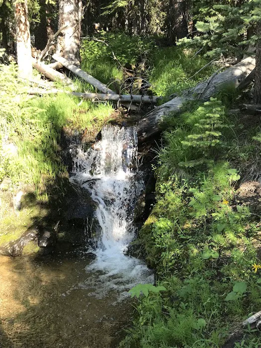 Price Creek Campground 8