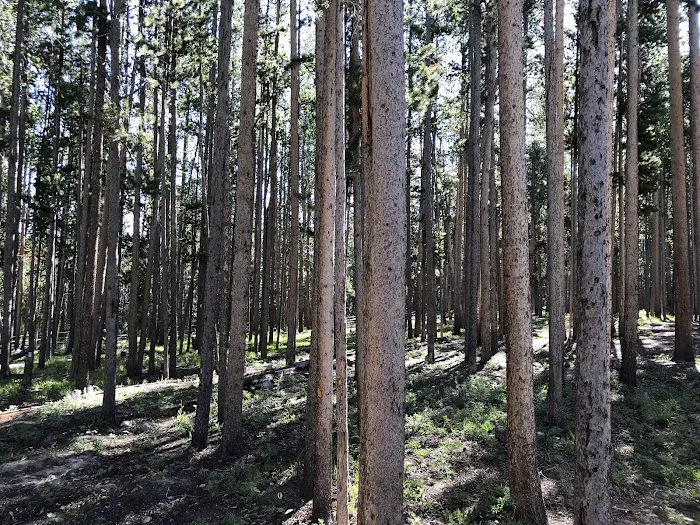 Price Creek Campground 9