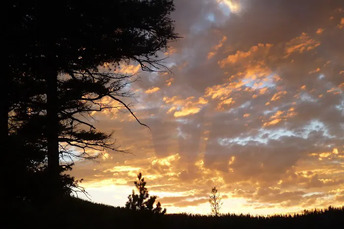 Park Lake Campground 2