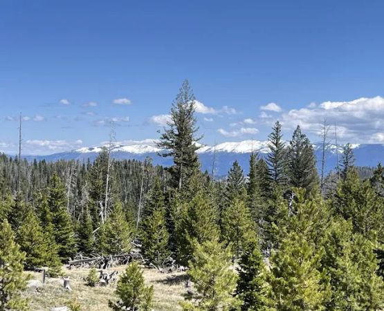 Park Lake Campground
