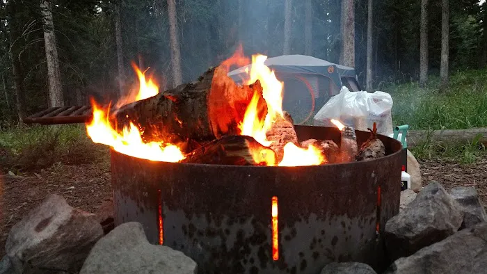 Langohr Springs Campground 2