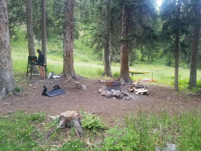 Langohr Springs Campground 4