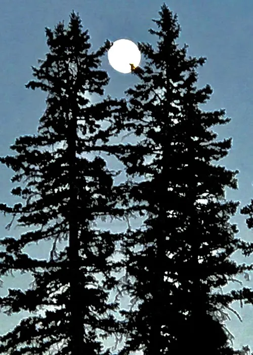 Langohr Springs Campground 3