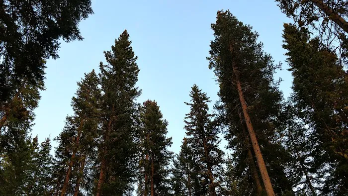 Langohr Springs Campground 7