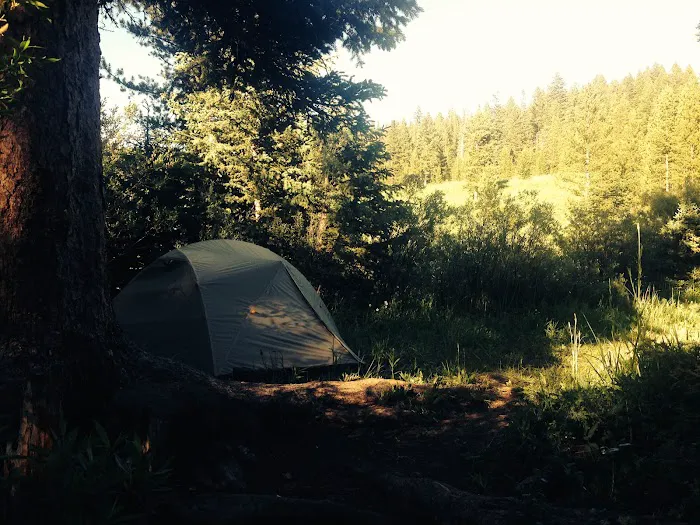 Langohr Springs Campground 8