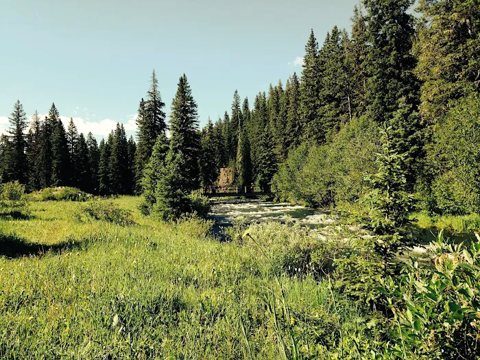 Langohr Springs Campground 6