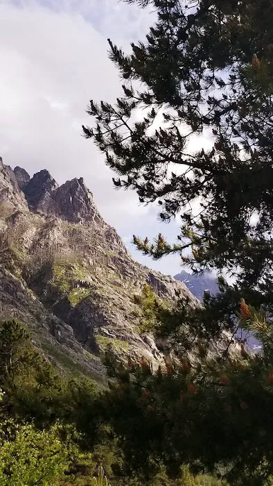 East Rosebud Campground 9