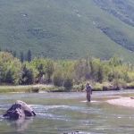 Sand Dunes Picnic Site