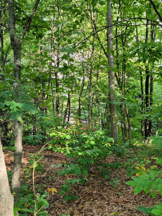 Lucius Woods County Campground and Park 8