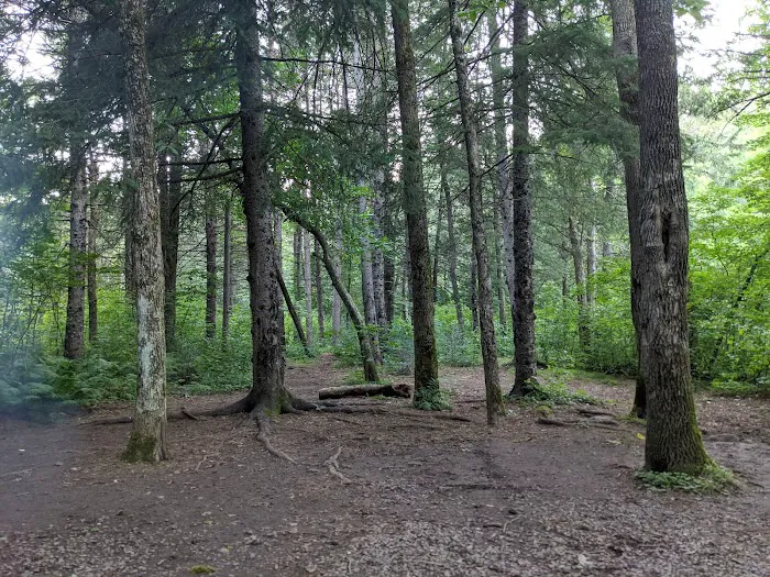 Bois Brule Campground 3