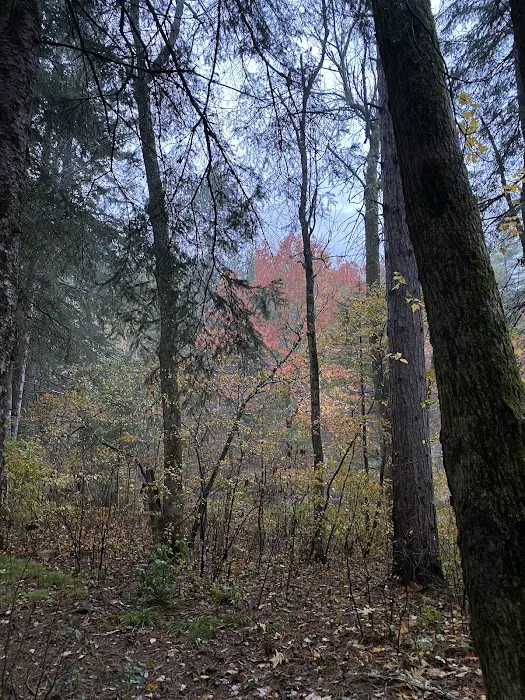 Bois Brule Campground 9