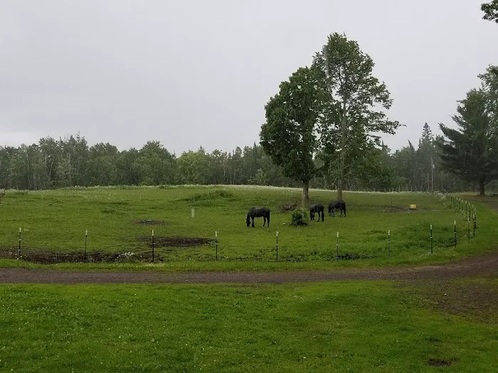 Paradise Hills Campground, MN 2