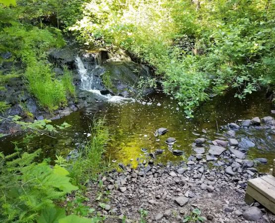 McCarthy Creek Camp