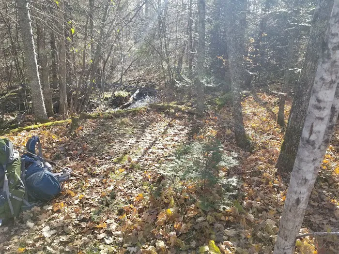 McCarthy Creek Camp 4
