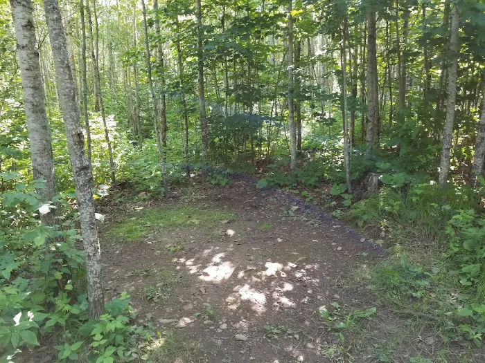 McCarthy Creek Camp 6