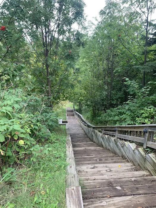 Penmarallter Campground 6