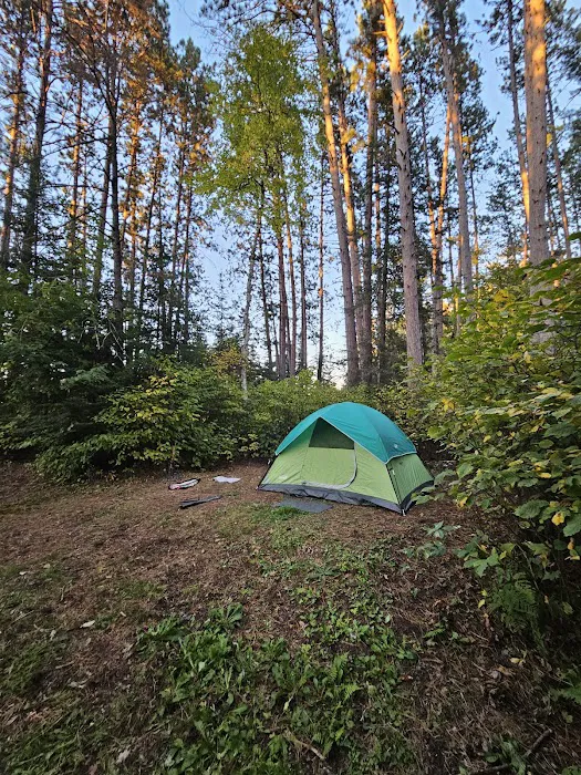 Buzz Ryan Campground 0