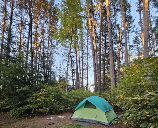 Buzz Ryan Campground