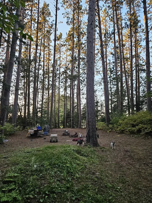 Buzz Ryan Campground 2