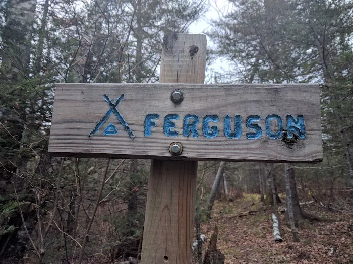 Ferguson Camp 3