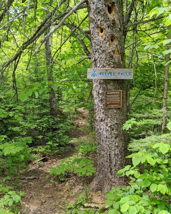 Reeves Falls Camp 0