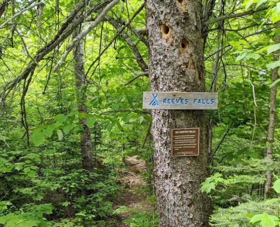Reeves Falls Camp