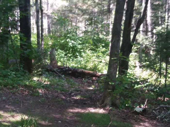 Reeves Falls Camp 2