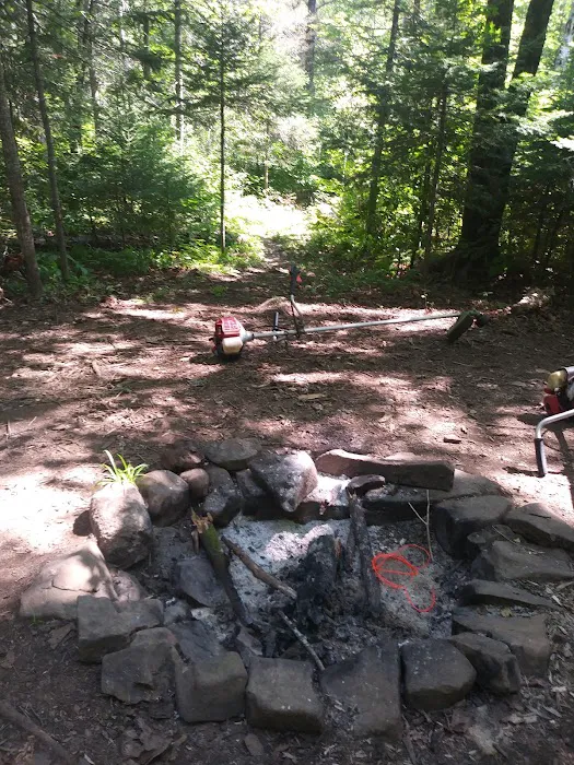 Reeves Falls Camp 5