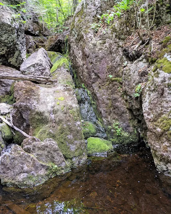 Reeves Falls Camp 4
