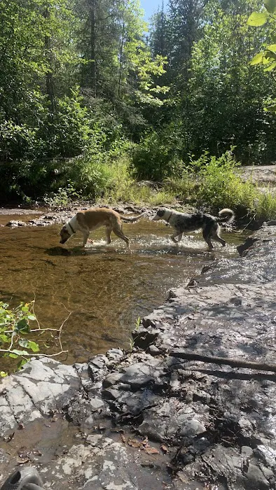 Silver Creek Camp 7
