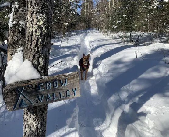 Crow Valley Camp