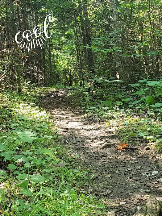 Crow Valley Camp 5
