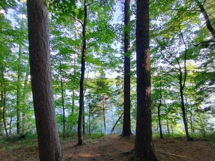 Tamarack Campsite 3
