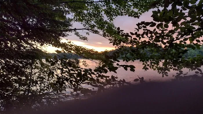Tamarack Campsite 2