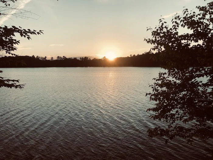 Tamarack Campsite 9