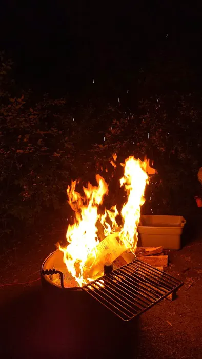 Cedar Campsite 0