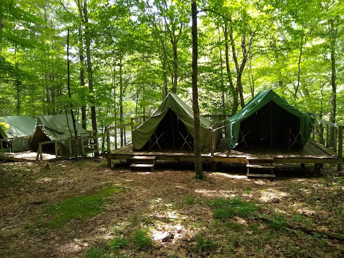 Cedar Campsite 3